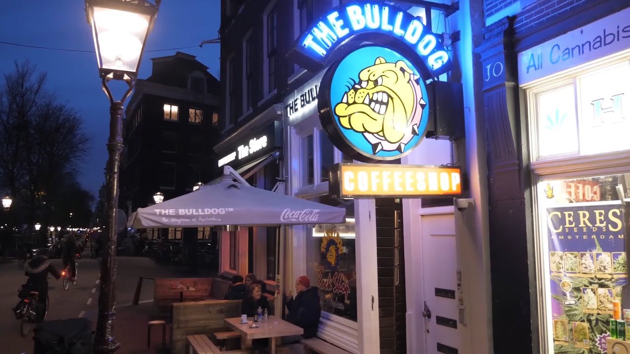 Coffeshop Amsterdam - THE BULLDOG