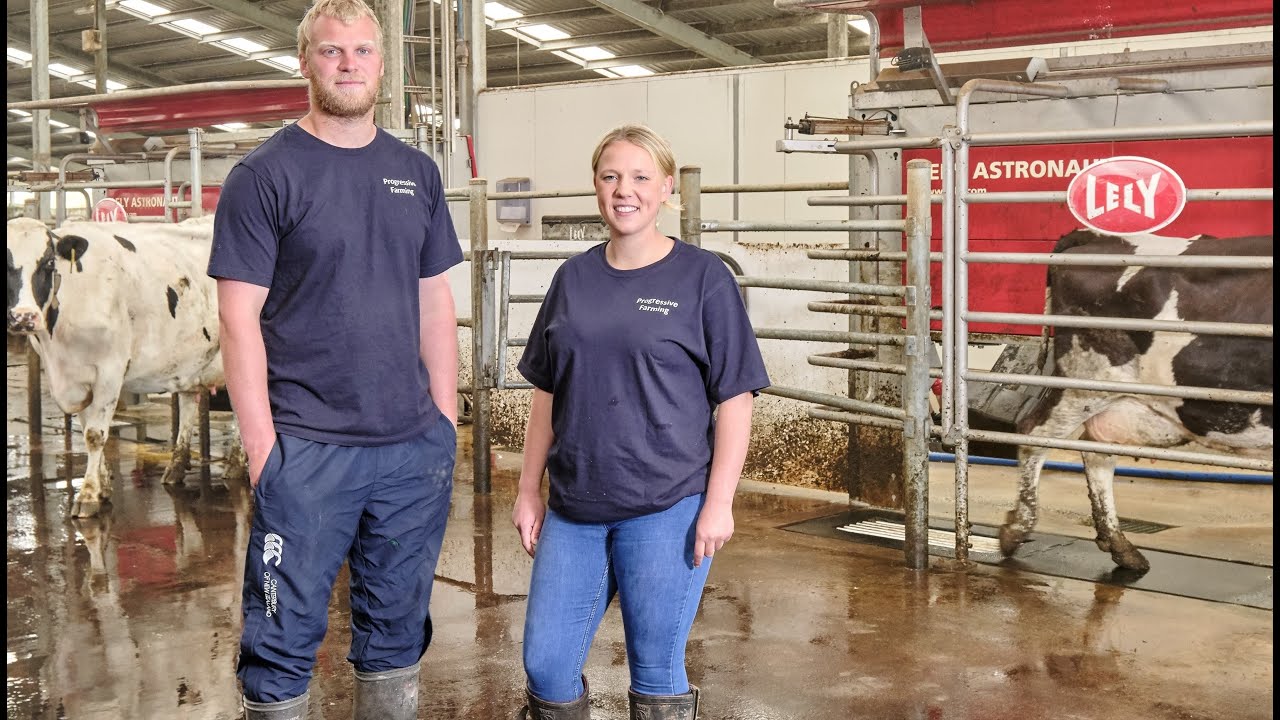 Dairy XL - Dion van Leeuwen and Meg Coombs (English / New Zealand)